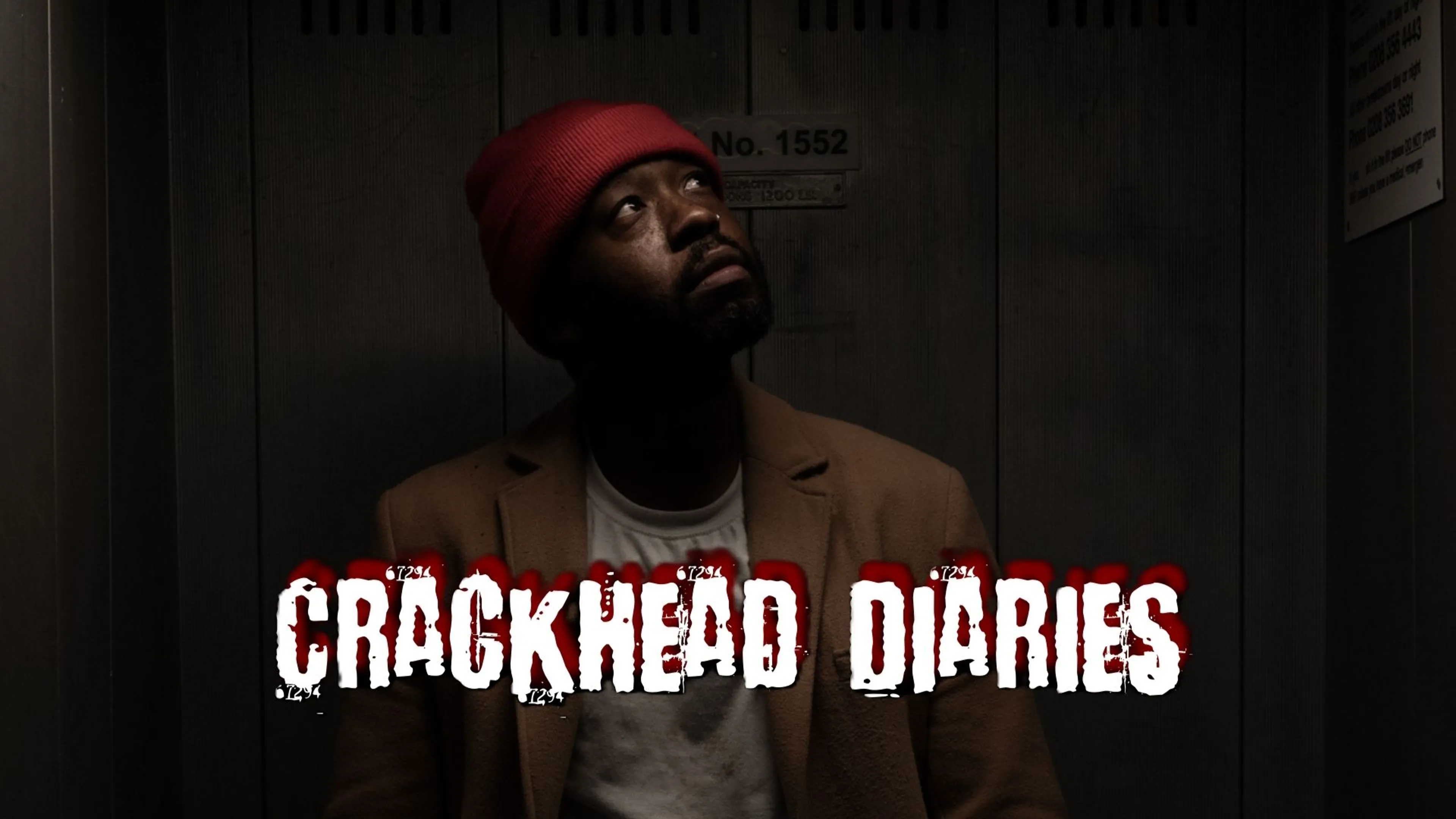 Crackhead Diaries poster